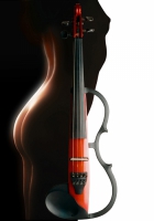 Violin