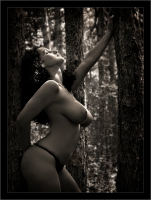 ... Dreaming ...