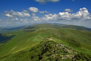 пътя към паметника