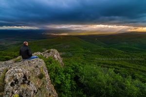 връх Шейновец