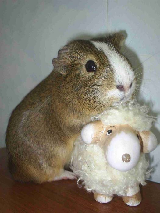 BOBY&Seso