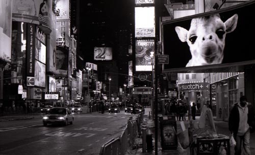 [times-square]