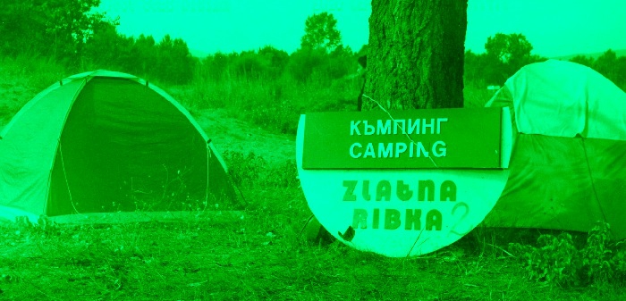 Zlatna Ribka 2