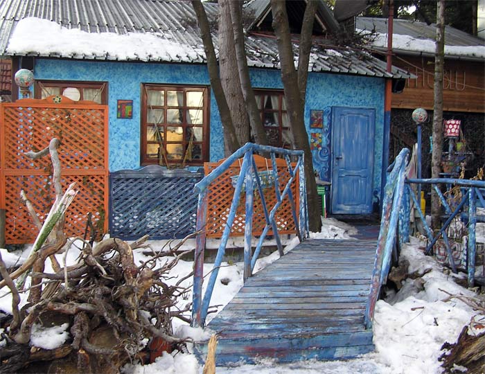 Синьото 1