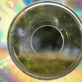 CD