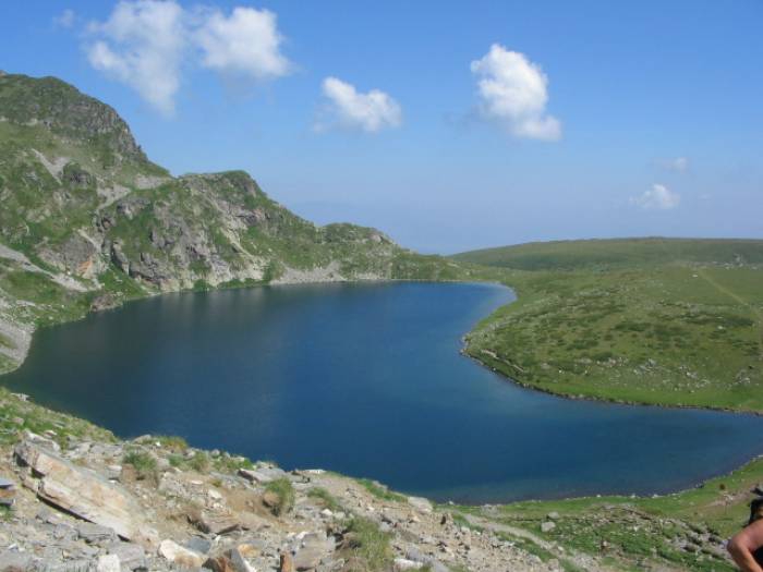 Бъбрека