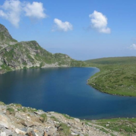 Бъбрека