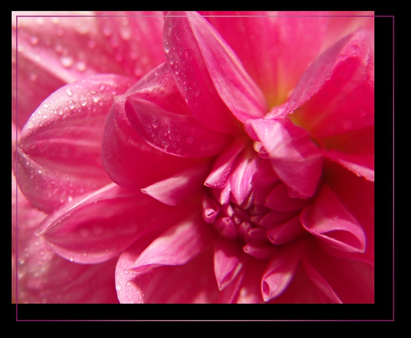 Pink...
