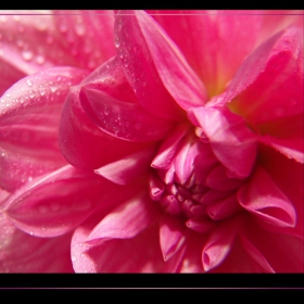 Pink...