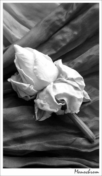 Monochrom