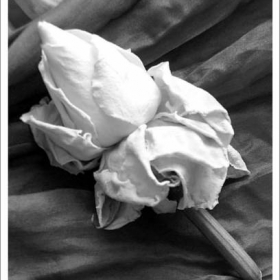 Monochrom