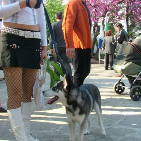 gledna to4ka