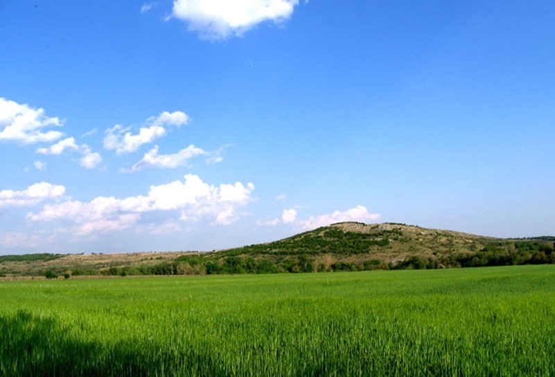 Зеленичко