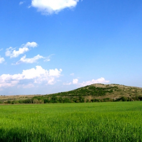 Зеленичко