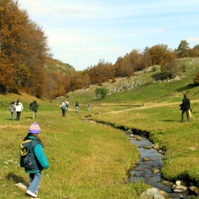 Към водопада