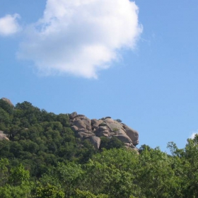 лъвската глава