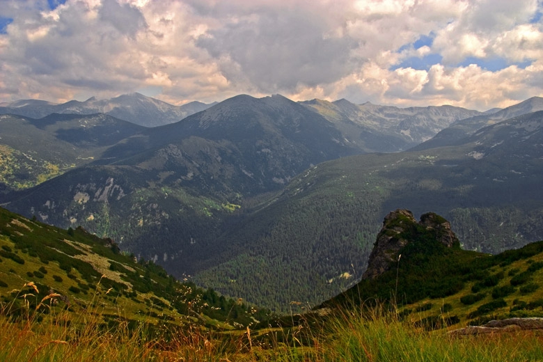 Рила