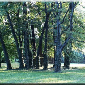 syveta