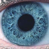 My EyE