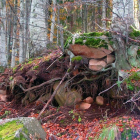 Есенно