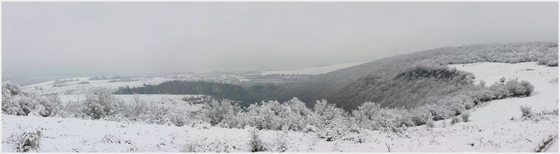 Снежна панорама