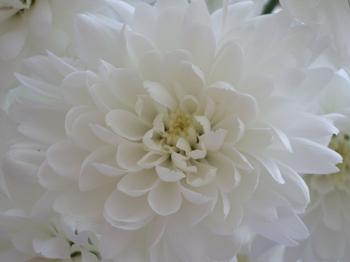white magic
