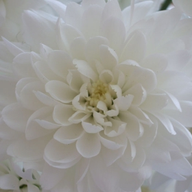 white magic