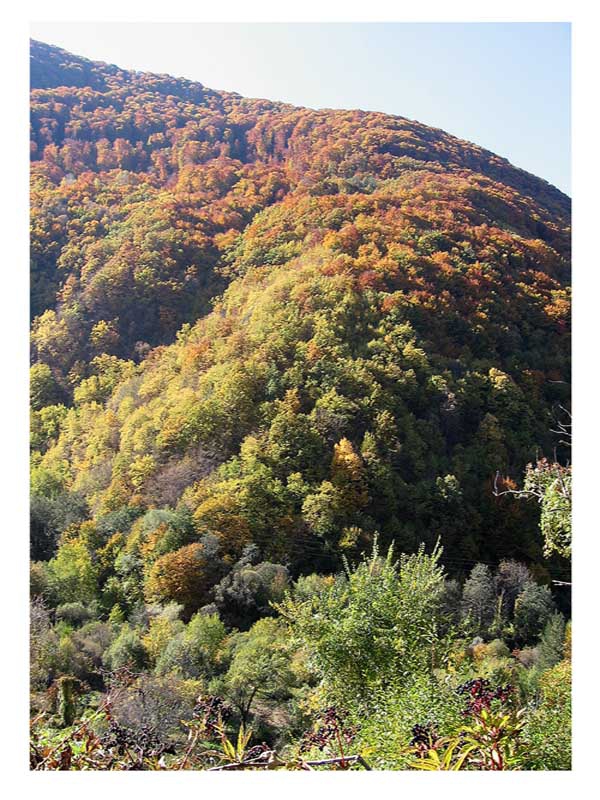 mountain