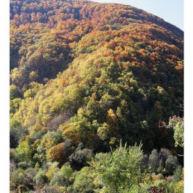 mountain