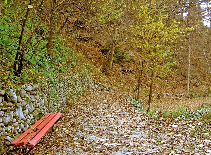 Самотна, червена пейка