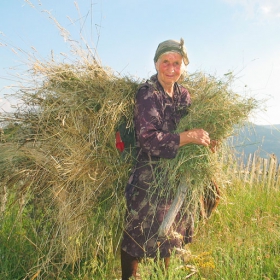 posledni otkosi