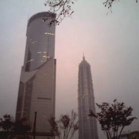 shanghai daylight (gsm)