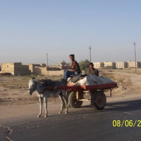 Iraq_freedom