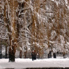 аз съм гооооолям, снежен и красив!