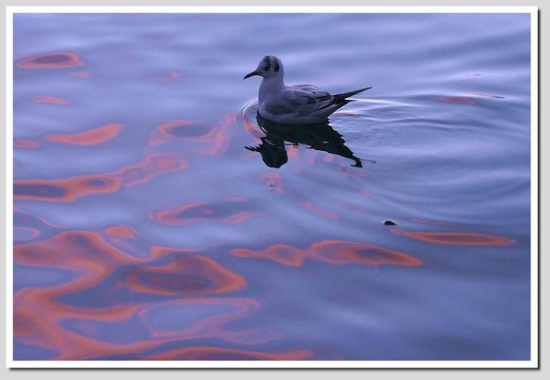 ... cold & water  proved ...