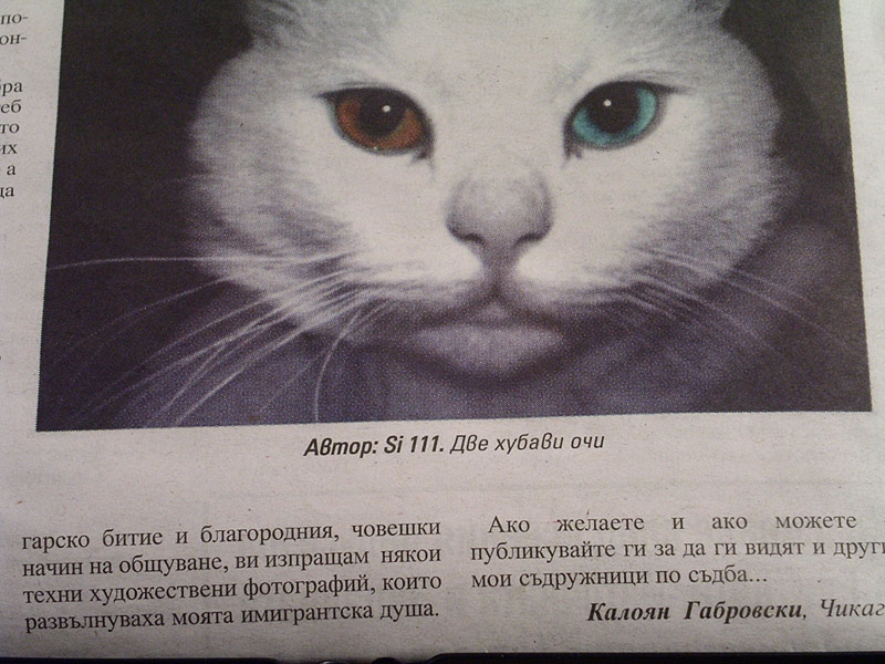 Шедьоврите на Маестро Обектив (4)