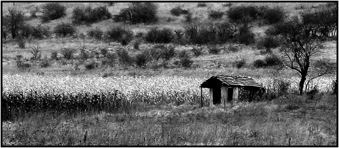 Forgotten Home