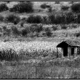 Forgotten Home