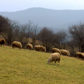 На село