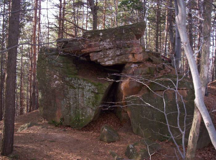 Снимка без име