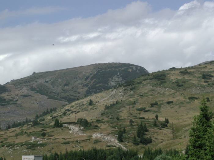 Belmeken