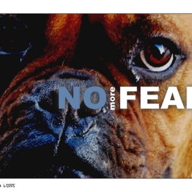 NO MORE FEAR