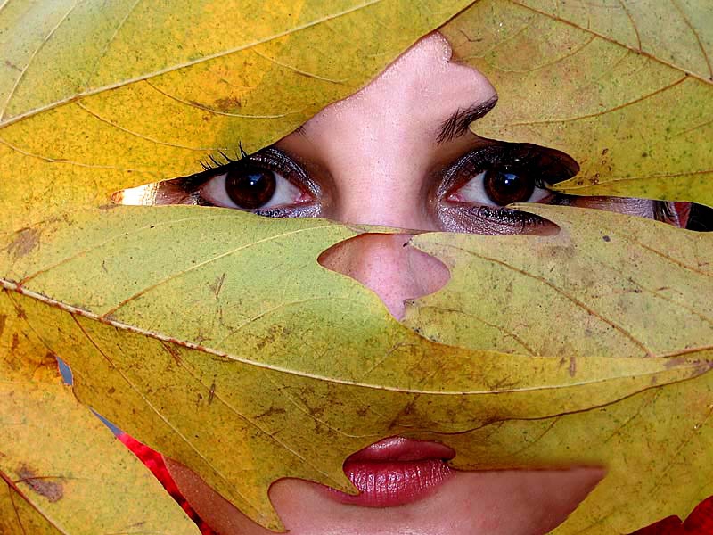 eyes