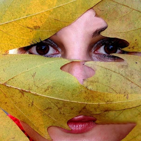 eyes