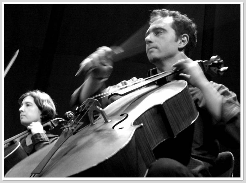 ... BASS BLADE ...
