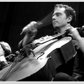 ... BASS BLADE ...