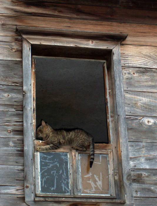Несебър