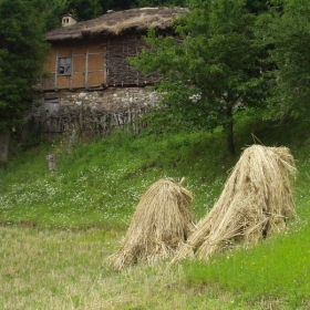 Горе в планината, на лятната кошара