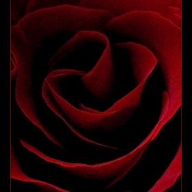 Deep red