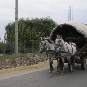 табора отива кън небето